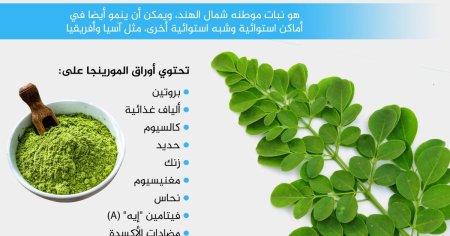  خلطةالمورينجا