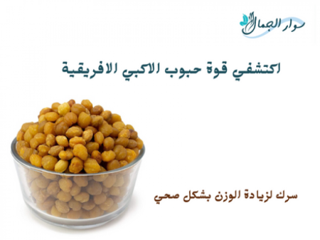  بذور الأكبي