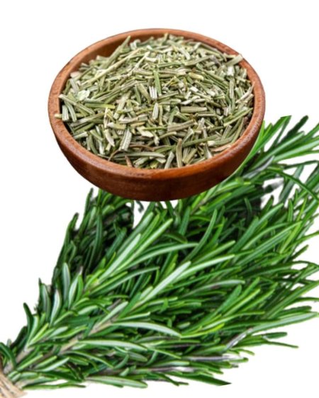 اعشاب روزماري